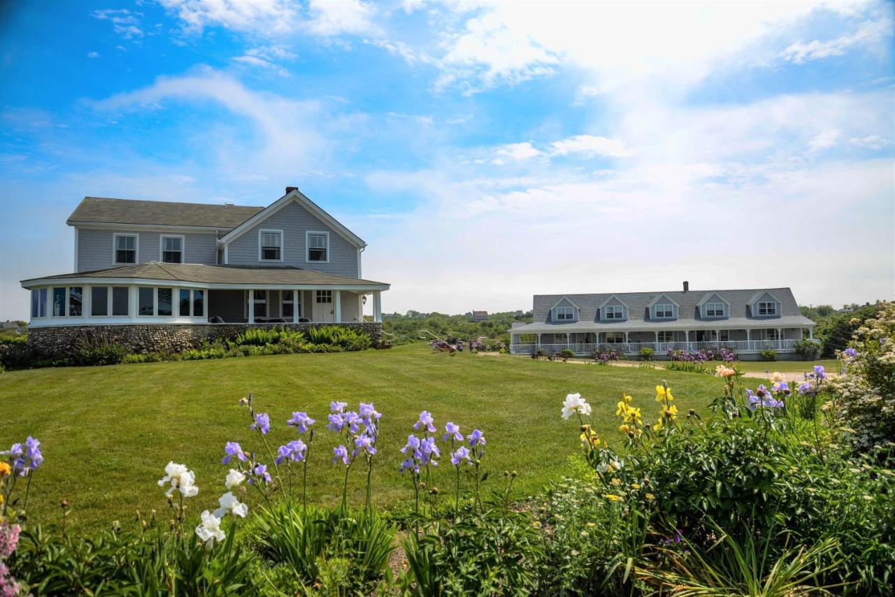 نيو شورهام Rose Farm Inn المظهر الخارجي الصورة